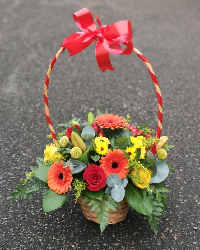 arrangements, florist choice, pot, flowers, gift, florist, harold wood, romford, havering, delivery