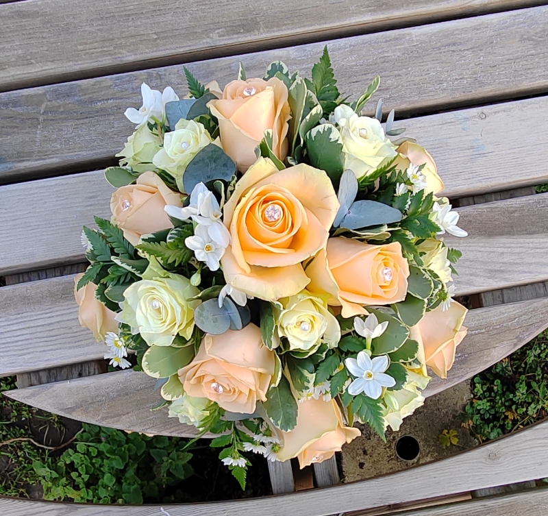 arrangements, florist choice, peach, roses, pot, flowers, gift, florist, harold wood, romford, havering, delivery