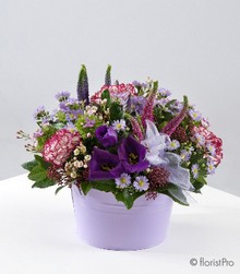 Purple Pot Arrangement